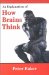 An Explanation of How Brains Think cover