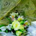 Wedding Inspirations : Creative Ideas to Celebrate a Marriage cover