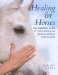 Healing for Horses : The Essential Guide to Using Hands-On Healing Energy With Horses cover