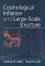 Cosmological Inflation and Large-Scale Structure cover