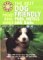 The Best Dog Friendly Pubs, Hotels and B&Bs cover