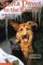  Santa Paws to the Rescue