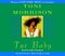 Tar Baby cover