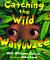Catching the Wild Waiyuuzee cover