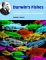Darwin's Fishes : An Encyclopedia of Ichthyology, Ecology, and Evolution cover