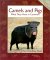 Camels and Pigs : What They Have in Common cover