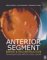 Anterior Segment Repair and Reconstruction : Technical and Medico-Legal Issues cover