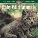Baby Wild Animals cover