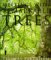 Meetings With Remarkable Trees cover