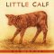 Little Calf