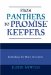 From Panthers To Promise Keepers : Rethinking The Men's Movement cover