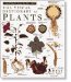 The Visual Dictionary of Plants cover