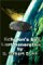  Echelon's End: Book 2 Sidereal Quest