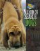 Wilderness Search Dogs cover