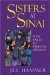 Sisters At Sinai : New Tales Of Biblical Women cover
