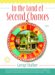 In the Land of Second Chances cover