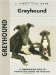 Greyhound cover