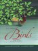 Fifty Common Birds of the Upper Midwest cover