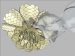 Intricacy cover