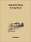 The American Boy's Handy Book : Build a Fort, Sail a Boat, Shoot an Arrow, Throw a Boomerang, Catch Spiders, Fish in the Ice, Camp without a Tent and 150 Other Activities cover