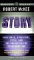  Story