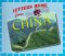Letters Home from China cover