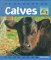 Calves cover