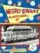  Negro Leagues: All-Black Baseball