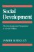 Social Development : The Developmental Perspective in Social Welfare cover