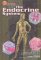 The Endocrine System cover