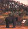 When Elephants Paint : The Quest of Two Russian Artists to Save the Elephants of Thailand cover