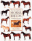 The New Guide to Horse Breeds : The Complete Reference to Horse and Pony Breeds of the World cover