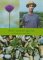 Derek Jarman's Garden cover