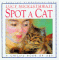 Spot a Cat cover
