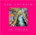 San Antonio In Color : Paintings cover