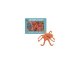 Octopus' Den cover