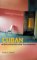 Transgression and Conformity : Cuban Writers and Artists After the Revolution cover