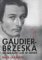  Gaudier-Brzeska: An Absolute Case of Genius