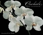 Orchids 2005 Calendar [Click for larger image]