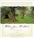 Where Jesus Walked : Experience the Presence of God cover