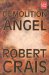 Demolition Angel cover