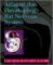  Atlas of the Developing Rat Nervous System