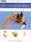  Bach Flower Remedies: A Step-By-Step Guide