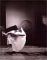 Trisha Brown : Dance and Art in Dialogue, 1961-2001 cover