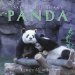 Saving the Giant Panda cover