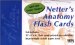 Netter's Anatomy cover