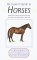 An Instant Guide to Horses : More Than 100 of the World's Breeds Described and Illustrated in Full Color cover