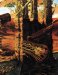 Manifest Destiny cover