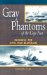 Gray Phantoms of the Cape Fear : Running the Civil War Blockade cover