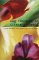  Key Concepts in Literary Theory